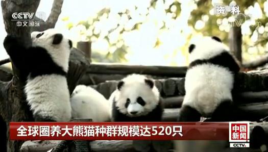 ȫ��Ȧ�B����؈�NȺҎģ�_520ֻ