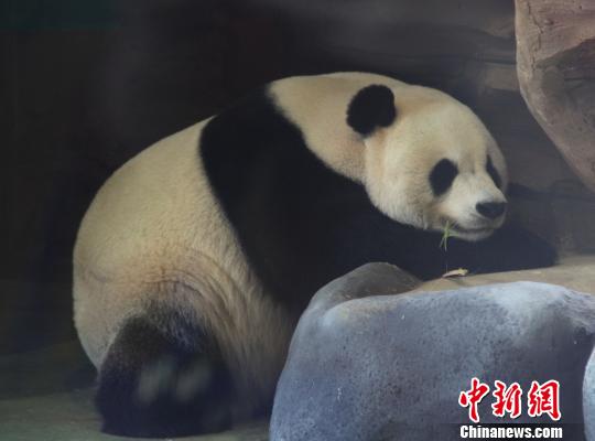 �D�顰���ա��ڴ��˯���������� �z