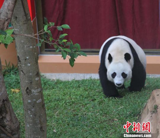 �D�顰������������ɢ������������ �z