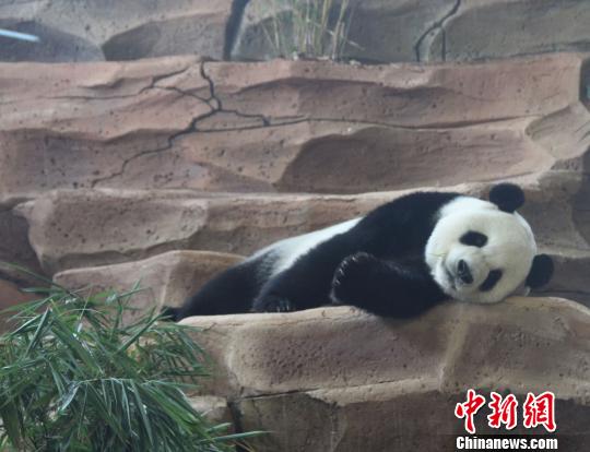 �D�鄂��ġ����ա����u������������ �z