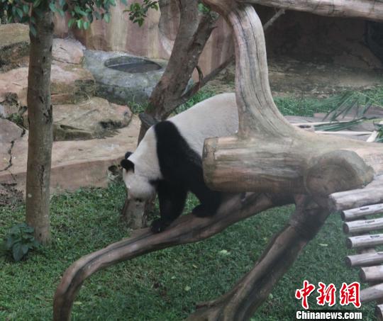 �D�顰�������ߡ���(d��)ľ������������ �z