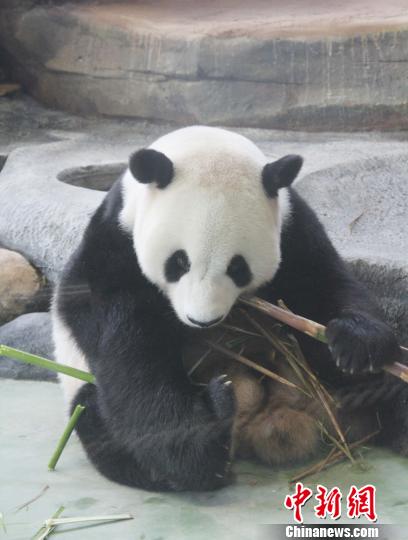 �D�顰���ա��ڳ��������������� �z