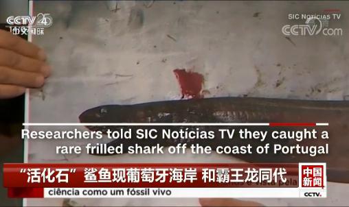 ���ʯ�����~�F���������� �Ͱ�����ͬ��