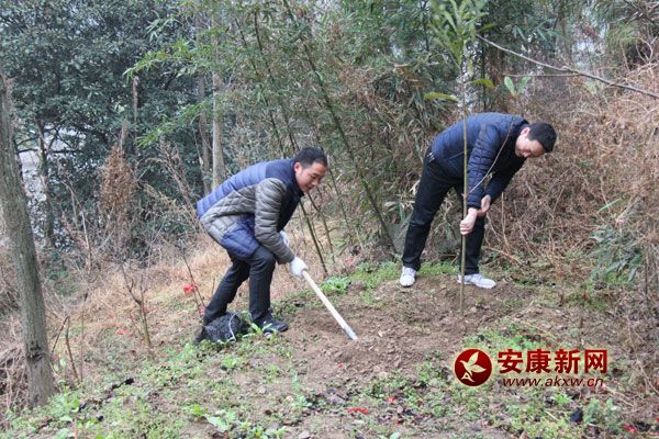 311գ޿hֱCP300˅xֲӣֲ˘1400áԓhӋG6.2fд