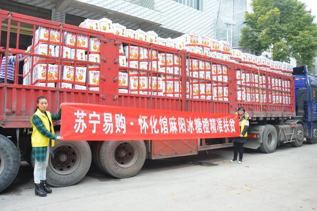 全渠道助銷農產品超60億 蘇寧榮獲2018電商公益先鋒獎