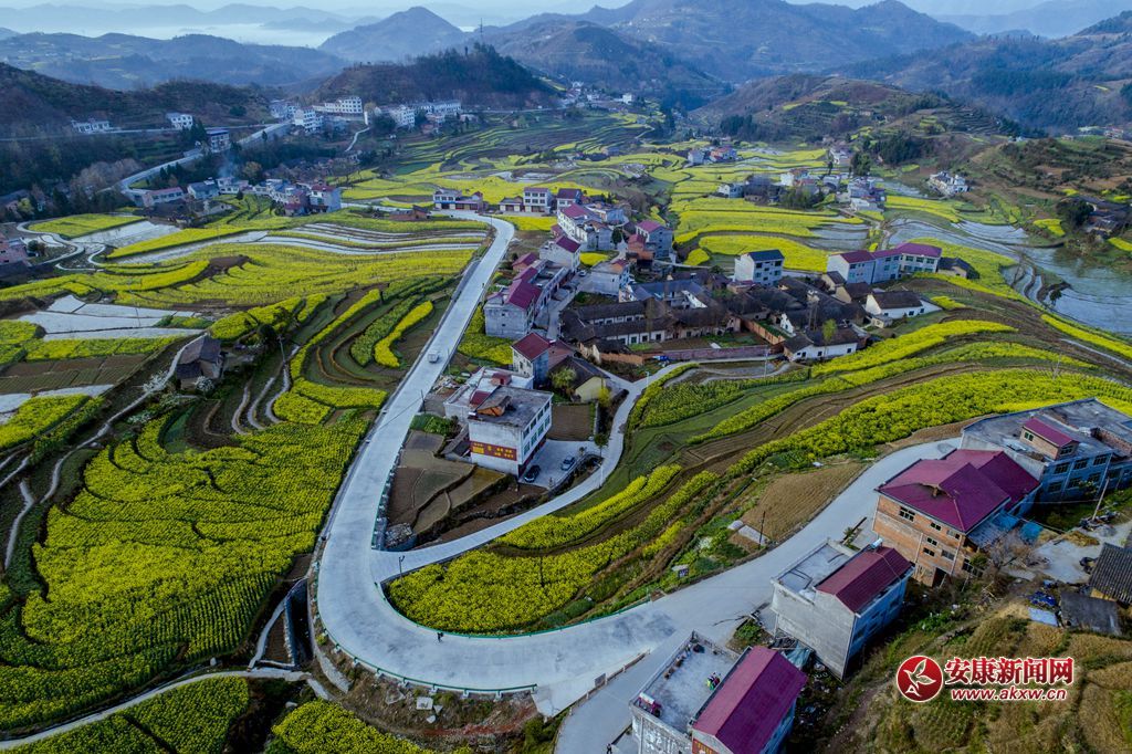 PߴɫzӰƤ¾SԒh13325355508Ĕzʡhꎿhu(zhn)P߹ - .JPG