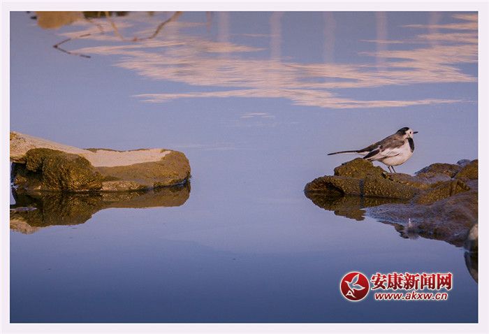 ˮһɫzӰƤ¾SfƬ2017123ʡНhĔzģչFõBhϵԒ