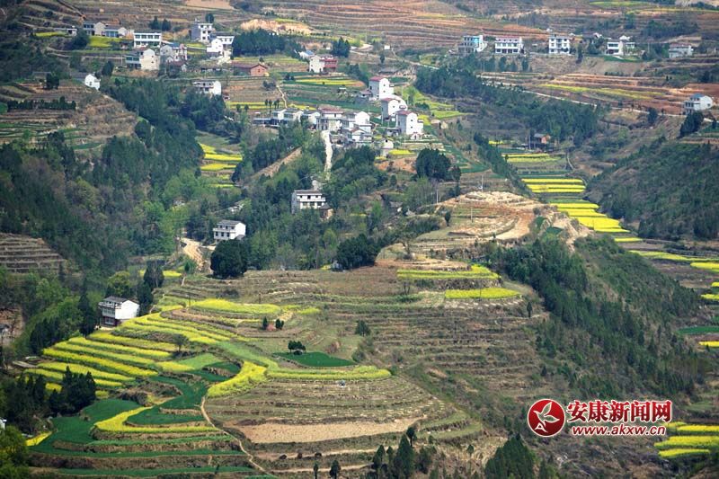 D2.̎(gu)(ni)ꑸأ(d)߁ɽɽɽص6Nεòc(din)˷Ϣ@˂ò